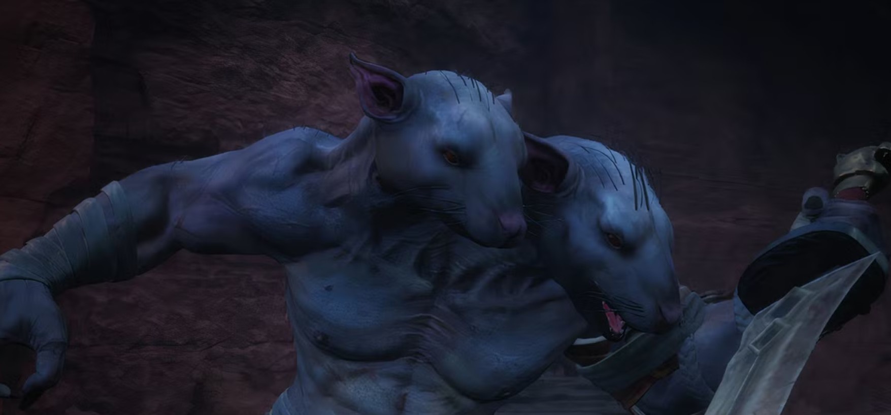 Rat Captain.jpeg