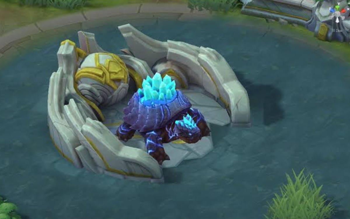 Turtle Escort.jpeg