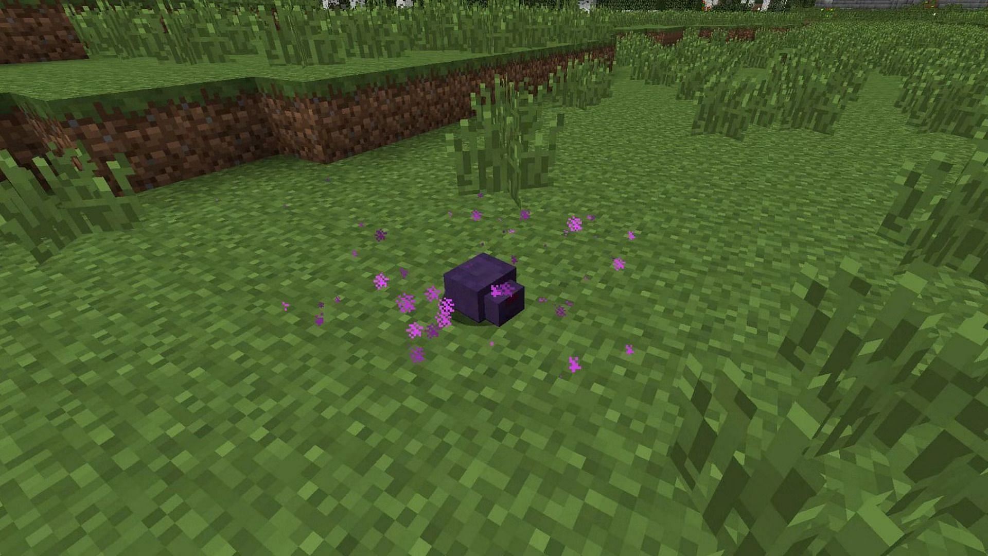 Endermite.jpeg