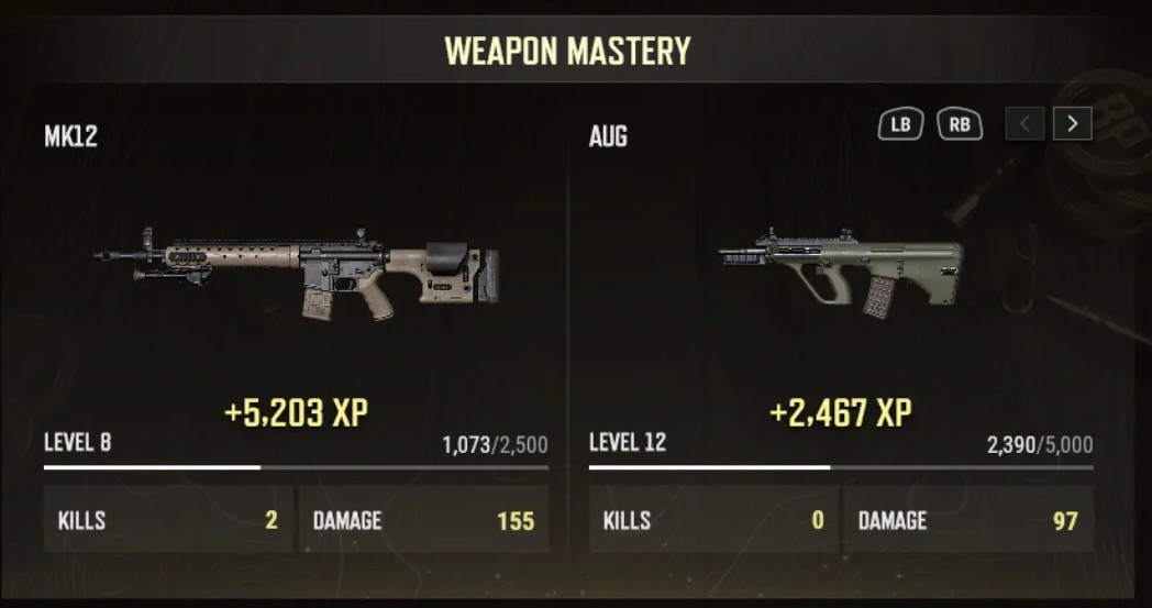 Weapon Mastery.jpeg