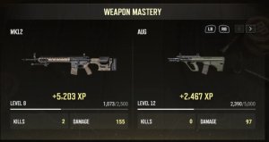 Weapon Mastery.jpeg