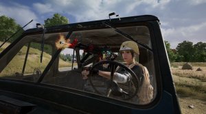 Acrobatic Driver.jpeg