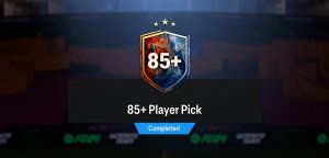 Bronze to Gold.jpg