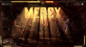 Merciful Fighter.jpg